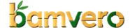 Bamboo Series main logo